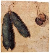 Peapods and Cherries, Simone Peterzano